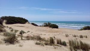 une plage de sable avec l'océan en arrière-plan dans l'établissement Elianthos B&B, à Ispica
