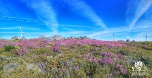 Foto dalla galleria di Casa Celeste a Castro Daire