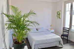a bedroom with a bed and a potted plant at Appartement LUXE et PRESTIGE proche Thermes, Parcs, Opéra in Vichy