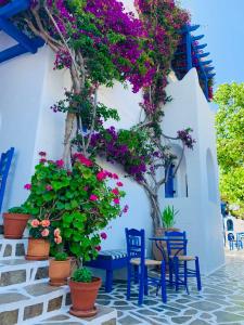 uma mesa e cadeiras com flores em frente a uma parede branca em Pelagos Studios em Parikia