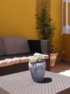 Posedenie v ubytovaní B&B Casa Sarandy