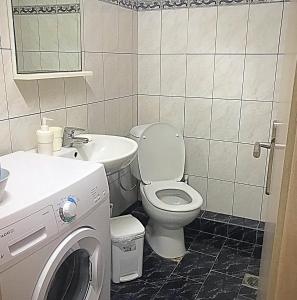 bagno con servizi igienici, lavandino e lavatrice di Alex Flat a Néoi Epivátai Altre 7 foto