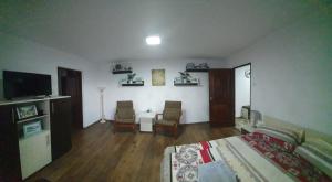 ein Wohnzimmer mit einem Bett, 2 Stühlen und einem TV in der Unterkunft Apartment Ada Kaleh in Orşova