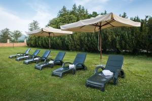 Zahrada ubytování Hotel Iris