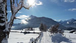 a path in the snow with mountains in the background at Nagellehen in Flachau