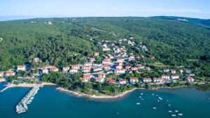 Příroda nedaleko apartmánu