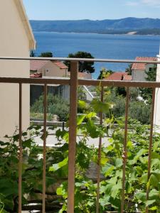 una vista sull'acqua dal balcone di una casa di Apartments Benika a Bol