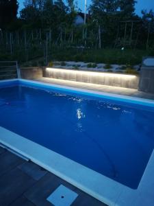 Bazén v ubytování Elizabeta Holiday Home nebo v jeho okolí