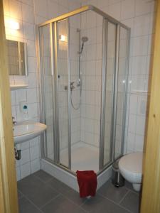 a bathroom with a shower and a sink and a toilet at Obere Schweizerhütte in Oberhof