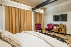 a bedroom with a bed and two chairs and a television at Sofia Boutique Hotel in Domaša Dobrá