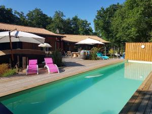 a pool with two pink chairs and a wooden deck at Au Bois Flotté in Hourtin