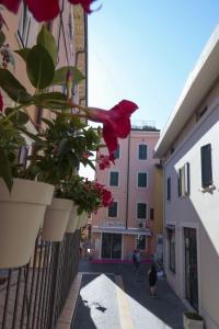 a street with flowers and plants on a fence at Le Finestre sul Borgo Rooms in Peschiera del Garda +118 photos