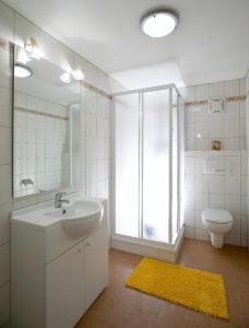 a bathroom with a sink and a toilet and a mirror at Ferienwohnungen Strohmayerhof in Rastenfeld
