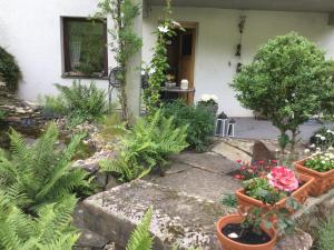 Zahrada ubytování Ferienwohnung Schug