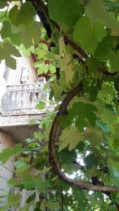 Giardino di Elco