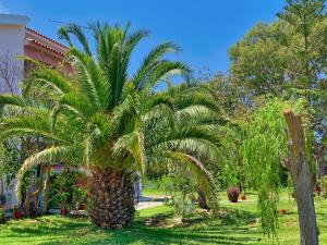 Jardin de l'établissement Villa Anna Maria