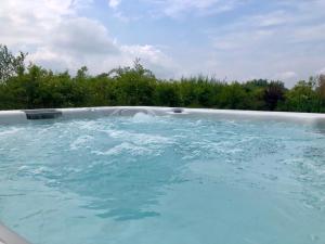 una gran piscina de agua con árboles en el fondo en Schwansee.Haus**** 22A, en Gross Schwansee