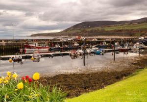 a marina with boats in the water and flowers at The Bridge Helmsdale in Helmsdale