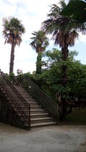 Giardino di Elco