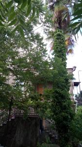 Giardino di Elco