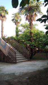 una scala con palme in un parco di Elco a Zugdidi