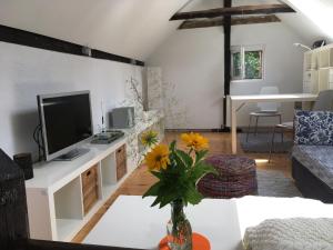 a living room with a tv and a vase with flowers on a table at Cevennenremise in Berlin