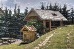 uma pequena casa de madeira no topo de uma colina em Dom nad jeziorem Blanki em Suryty