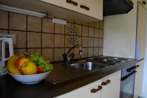 Kuchyň nebo kuchyňský kout v ubytování Landhaus Trista