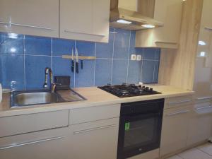 a kitchen with a sink and a stove at APP EMONA in Bašanija