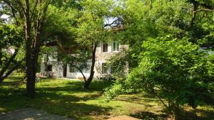Zahrada ubytování Guest House Iaraji