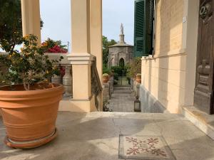 a potted plant sitting on the side of a building at Villino Eleonora in Parghelia