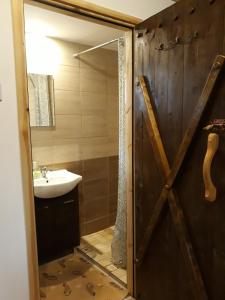 a bathroom with a shower and a sink and a mirror at Sosenka in Zalas +52 photos