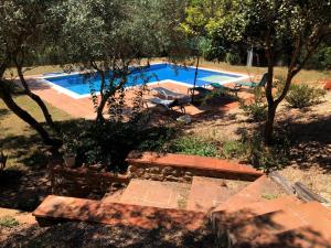 The swimming pool at or close to Casa Pepe