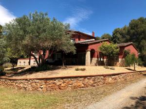 A garden outside Casa Pepe