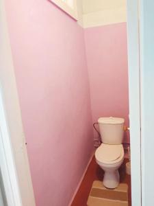 モスクワにあるАпартаменты улица Автозаводскаяのピンクの壁のバスルーム(トイレ付)