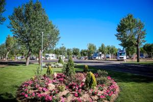 Zahrada ubytování Bungalows y Mobil Homes Camping Regio