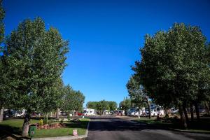 Fotografie z fotogalerie ubytování Bungalows y Mobil Homes Camping Regio v destinaci Santa Marta de Tormes