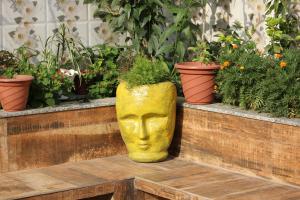 un vaso giallo seduto su un tavolo con piante di The Hideout Agra - Homestay near Taj ad Agra