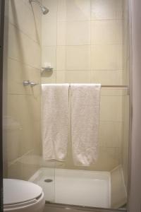a bathroom with a toilet and towels on a shower at BONITTO INN® Tampico Altamira in Tampico