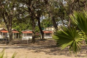 Κήπος έξω από το BONITTO INN® Tampico Altamira