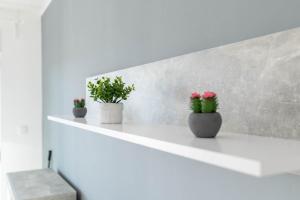Fotografie z fotogalerie ubytování Apartment Sole v destinaci Pula