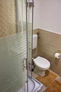 a bathroom with a toilet and a glass shower stall at Bridge Apartment in Kratovo