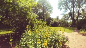 Gallery image of Ferienwohnung Schwantje in Aurich +8 photos