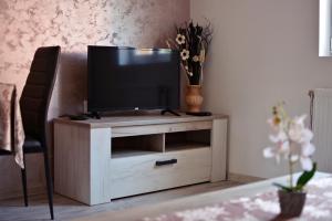 TV tai viihdekeskus majoituspaikassa Apartmani Nikolic