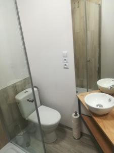 a bathroom with a toilet and a sink and a shower at Moka in Grzybowo