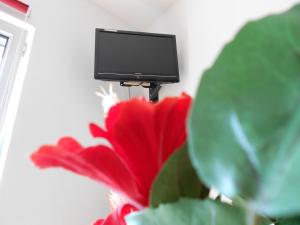 a tv sitting on top of a red flower at Apartment Beethoven in Regensburg
