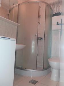 a bathroom with a shower and a toilet at Apartment Nono Ivo in Vis