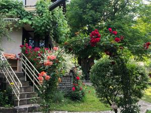 Fotografie z fotogalerie ubytování Luylyana Guesthouse v destinaci Ribarica