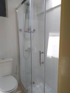 uma casa de banho com uma cabina de duche em vidro e um WC. em Casa da Praia do Ribatejo em Praia do Ribatejo
