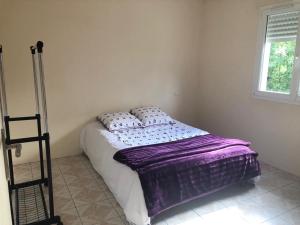Un dormitorio con una cama con una manta morada. en Villa plein pied rez-de-chaussée+1 avec dépendance en Cenon